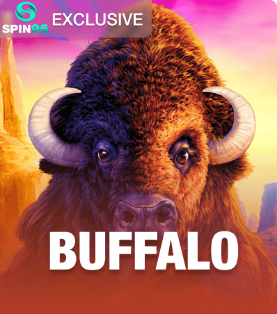 Buffalo